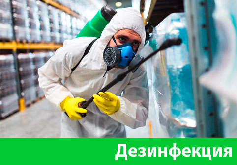 Дезинфекция в городе Раменское