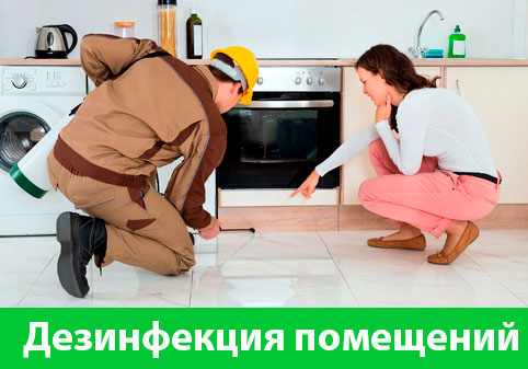 Дезинфекция офисов от коронавируса в городе Раменское