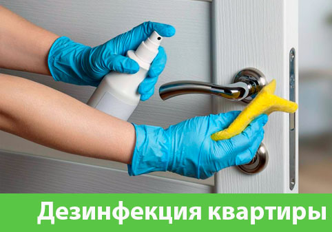 Дезинфекция квартиры в городе Раменское