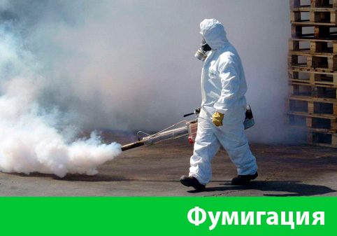 Фумигация в городе Раменское