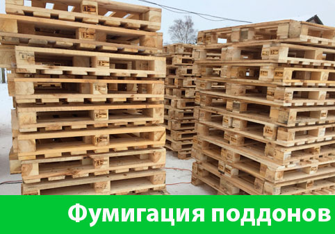 Фумигация поддонов в городе Раменское