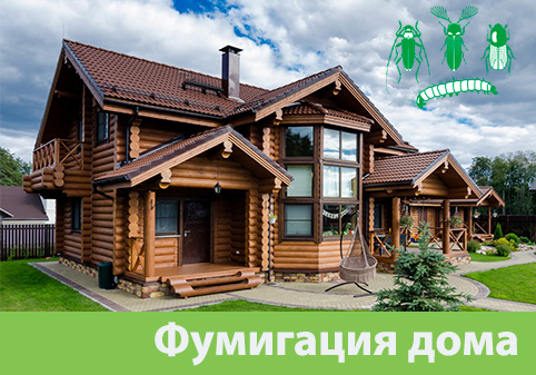 Преимущества обработки газом в городе Раменское