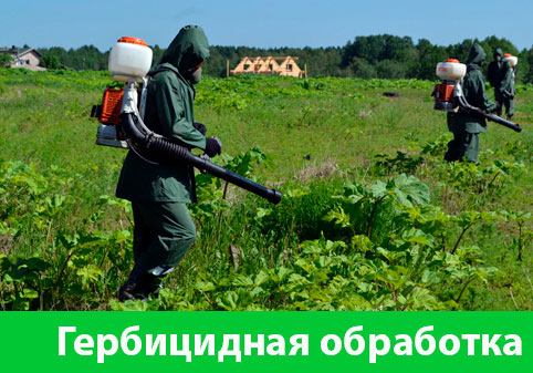 Гербицидная обработка в городе Раменское
