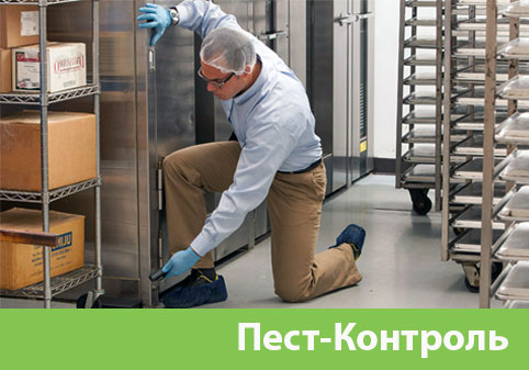 Пэст-Контроль в городе Раменское