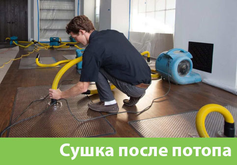 Сушка после потопа в городе Раменское