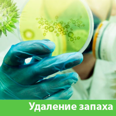 Удаление запахов в Раменском