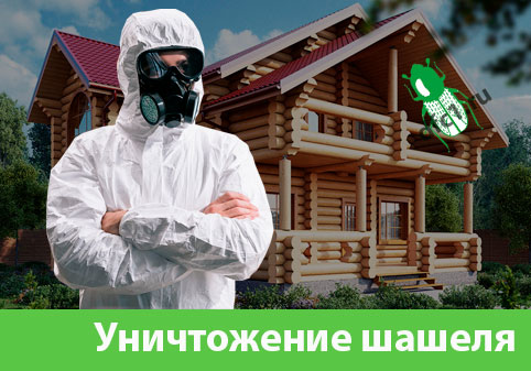 Уничтожение шашеля и личинок в Раменском