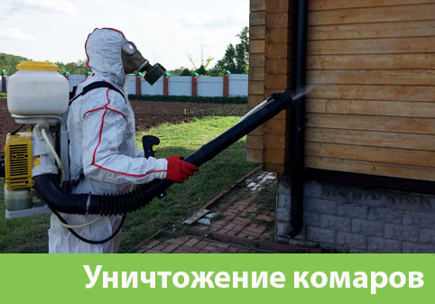 Уничтожение комаров в городе Раменское