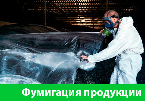 Фумигация продукции в городе Раменское
